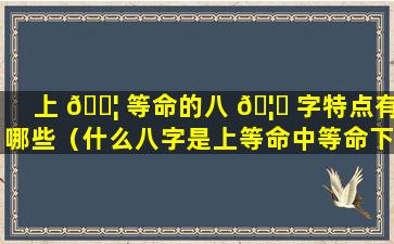 上 🐦 等命的八 🦆 字特点有哪些（什么八字是上等命中等命下等命）